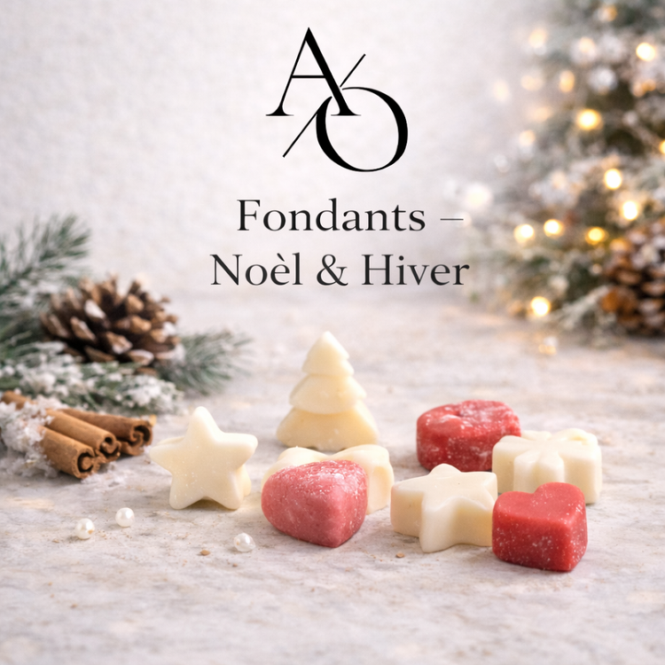 Fondants de Noël / Hiver