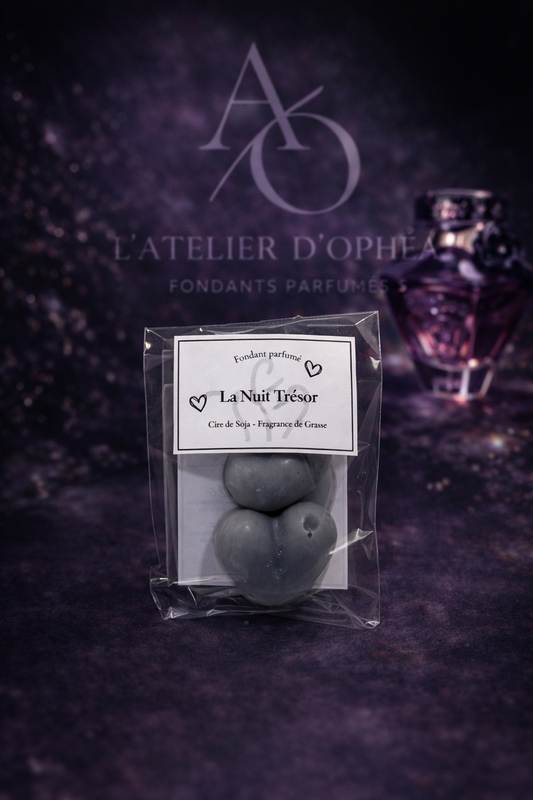 Fondant Parfumé Inspiré La Nuit Trésor